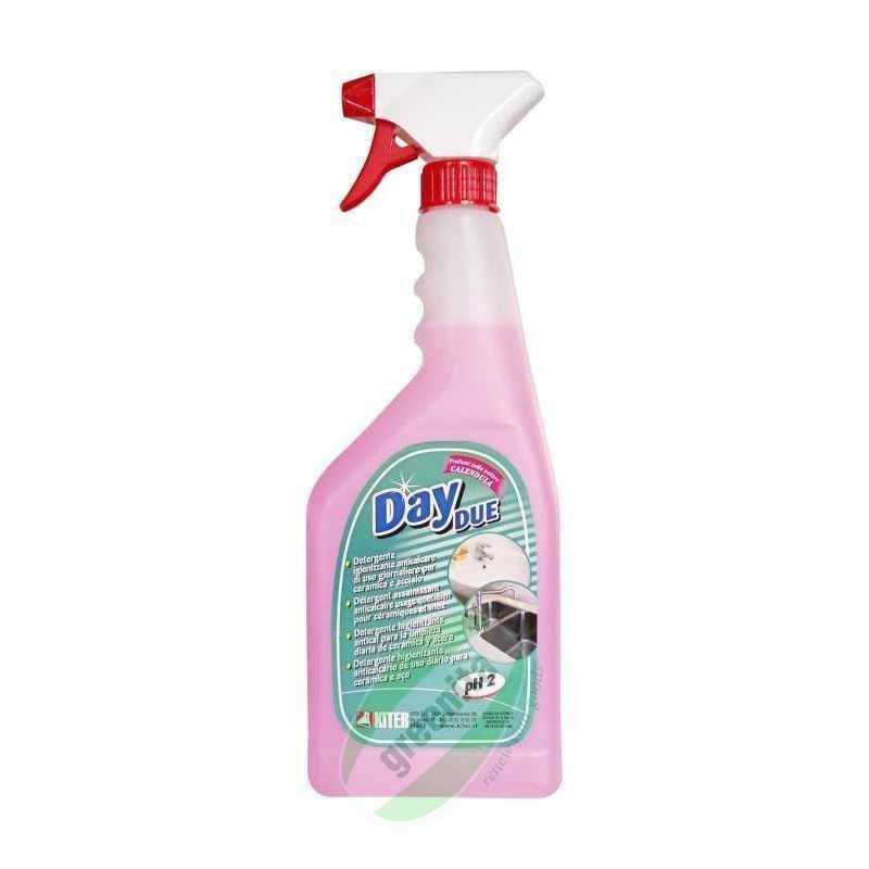 Detergente Bagno Professional Dasty